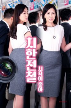 痴汉电车之耻辱的快感