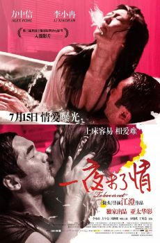 一夜未了情无删减版