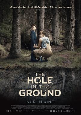 婴魂不散 The Hole in the Ground海报