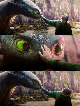 驯龙高手真人版